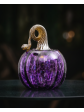 Pumpkin Collection